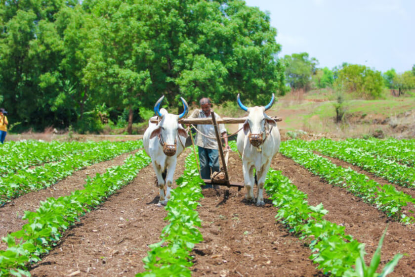 Enabling a philanthropic fund house to improve farming outcomes for marginalized farmers